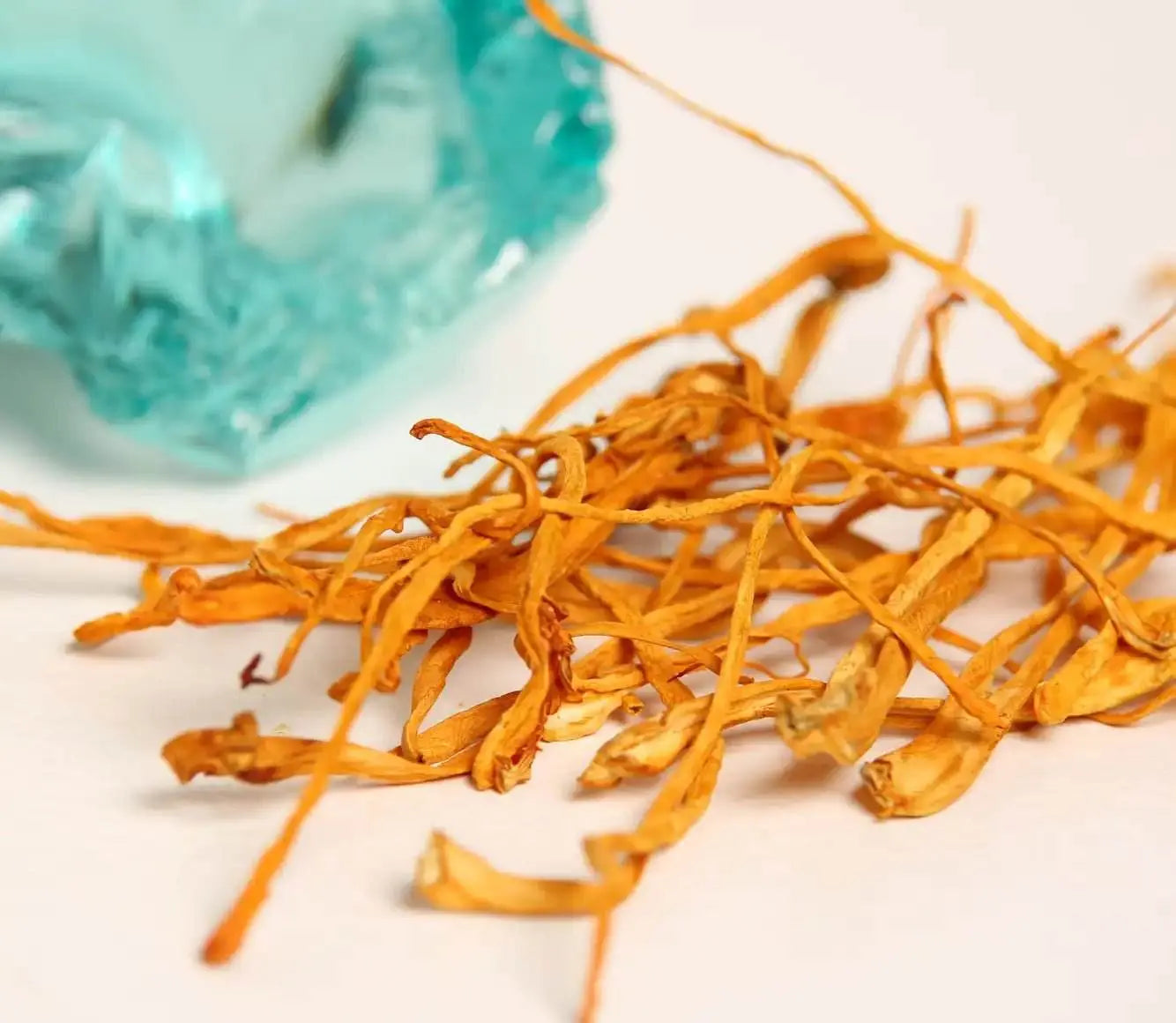 Il fungo Cordyceps è noto per aumentare l'energia e migliorare efficacemente la resistenza