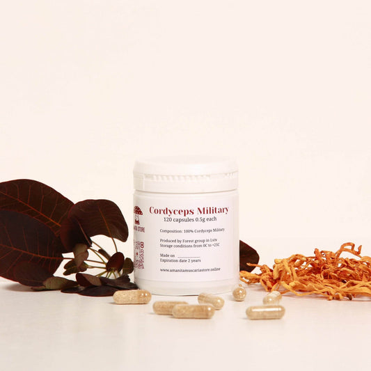 Cordyceps Military capsules - Amanita Store
