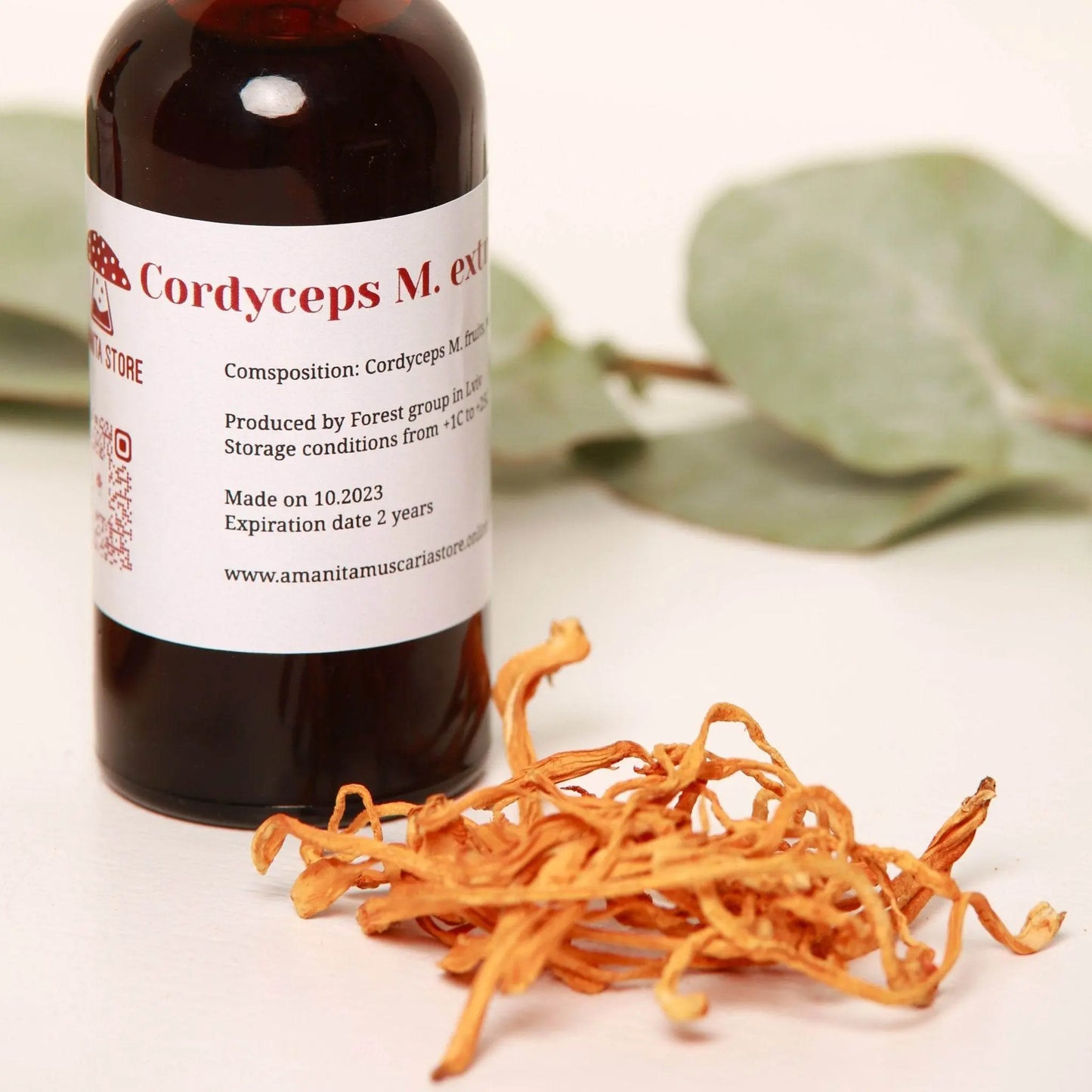 Tintura di Cordyceps – Doppia estrazione da corpi fruttiferi biologici freschi.