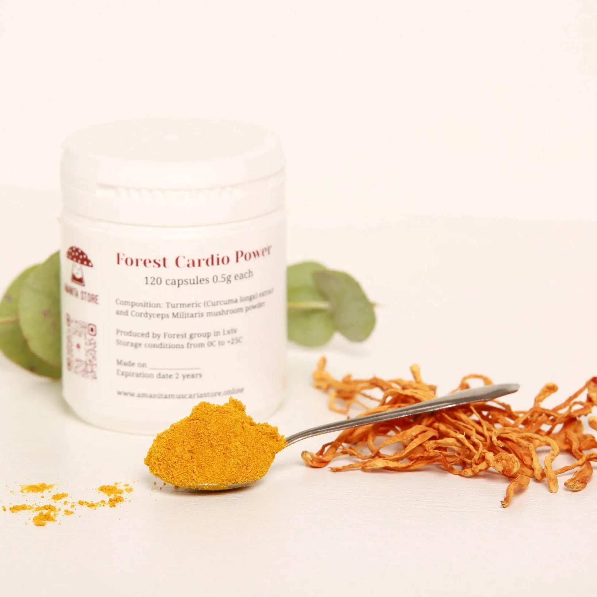 Cardio Power na Floresta.