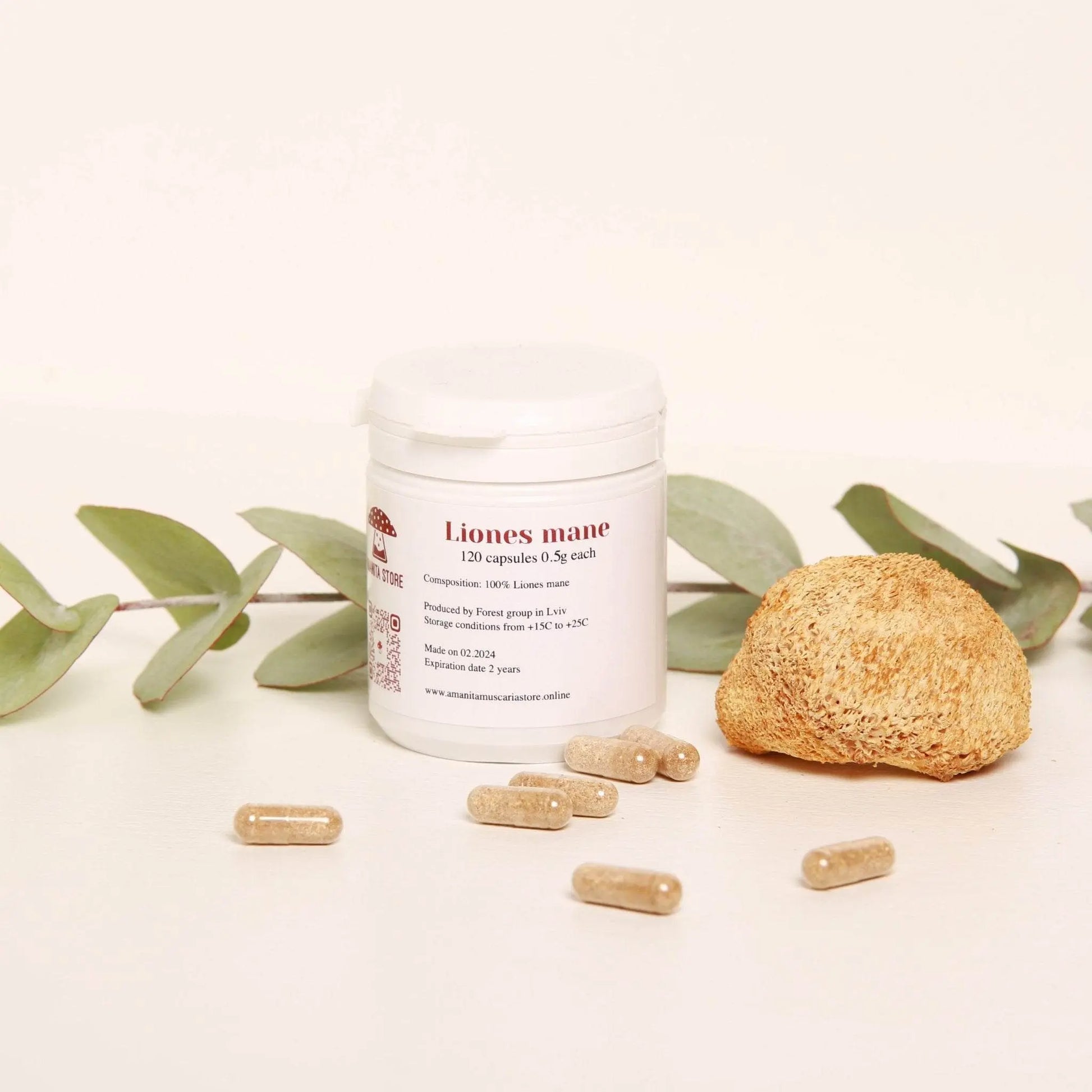 ライオンのたてがみ。