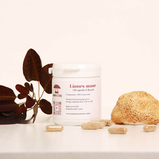 Lion's Mane - Amanita Store