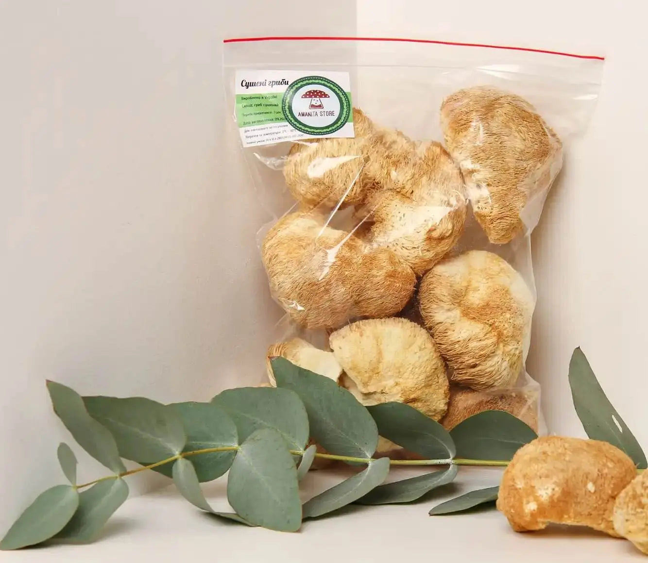 Il fungo Criniera di Leone migliora la concentrazione cognitiva e la chiarezza mentale per una maggiore produttività