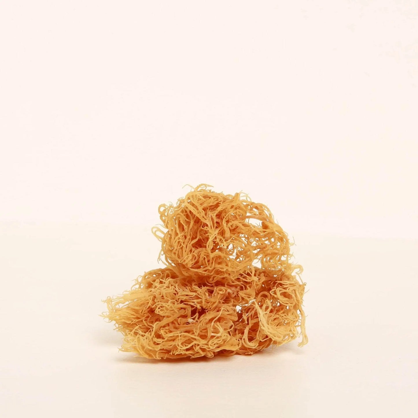 オーガニック海苔藻類（アイリッシュモス）。