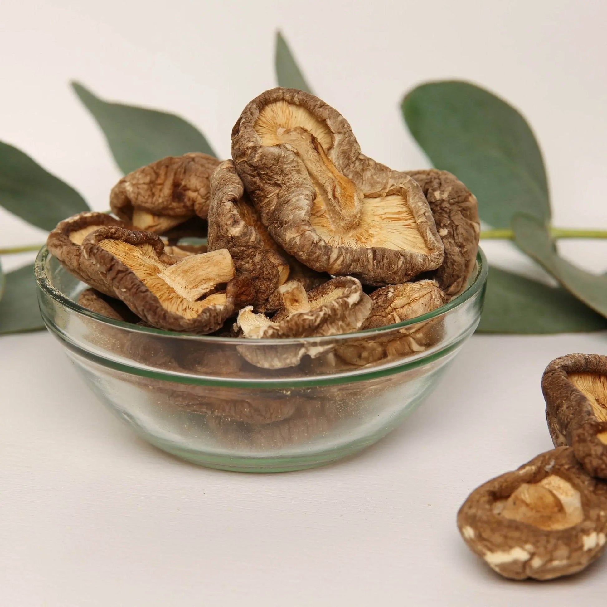 Funghi Shiitake biologici.