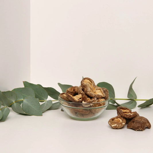 Cogumelos Shiitake orgânicos.