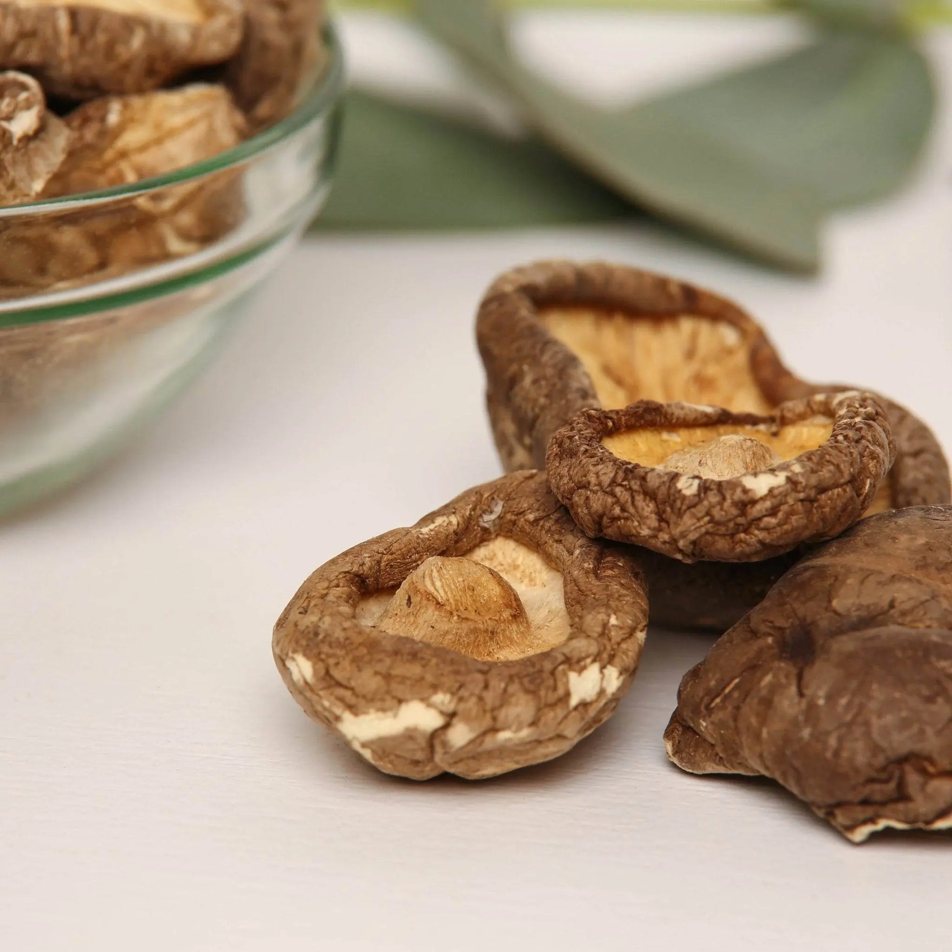 Funghi Shiitake biologici.