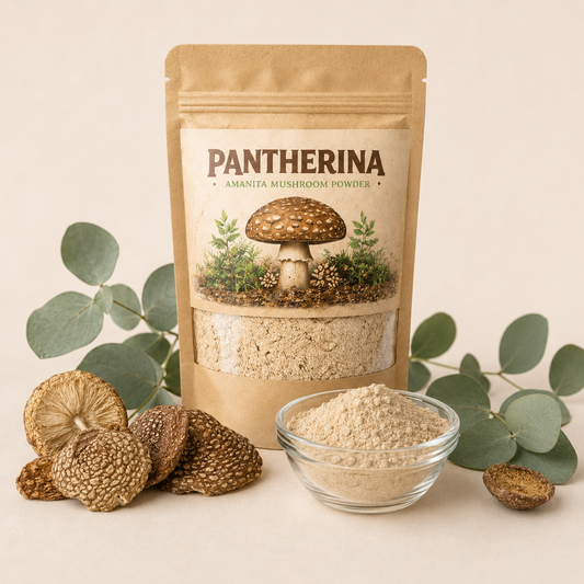 Amanita Pantherina Powder