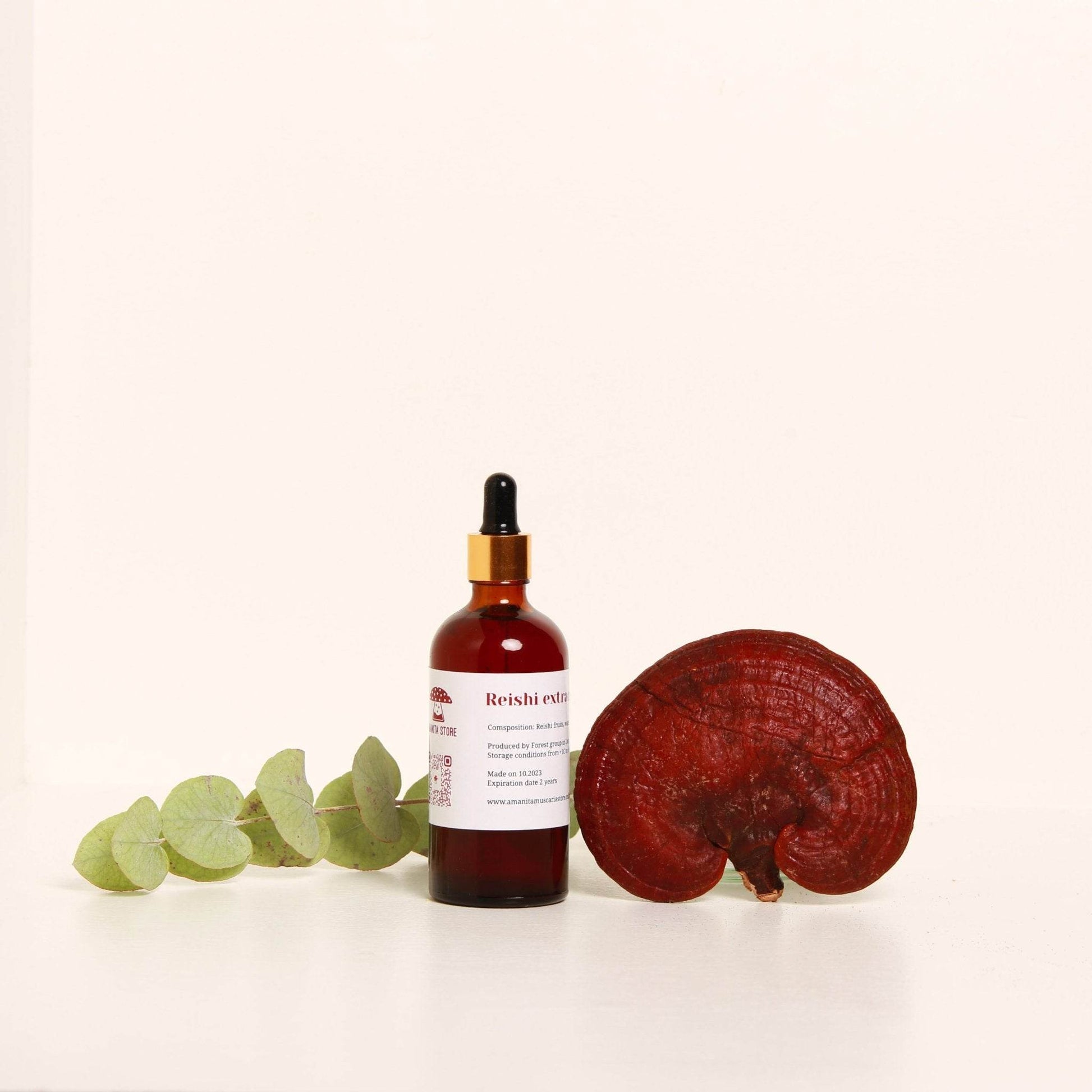 Teinture de Reishi – Double extraction à partir de corps fructifères biologiques frais.