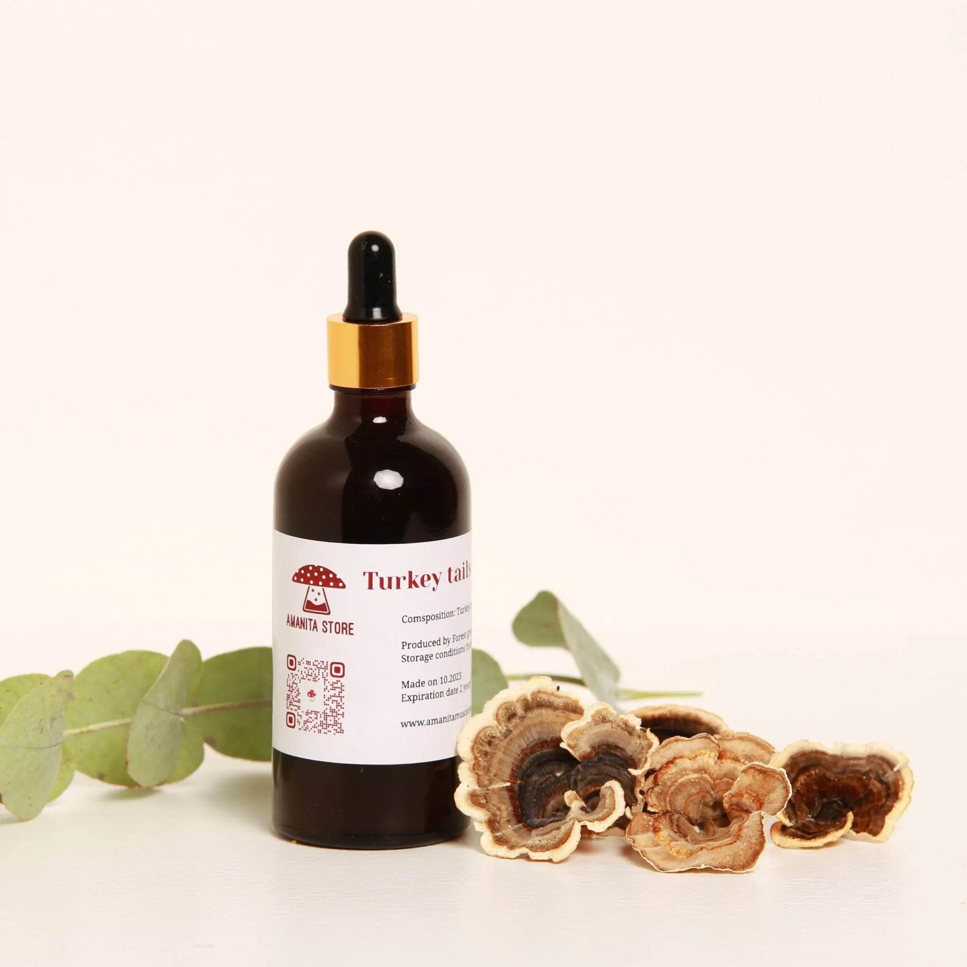 Tintura di Trametes versicolor – Doppia estrazione da corpi fruttiferi biologici freschi.